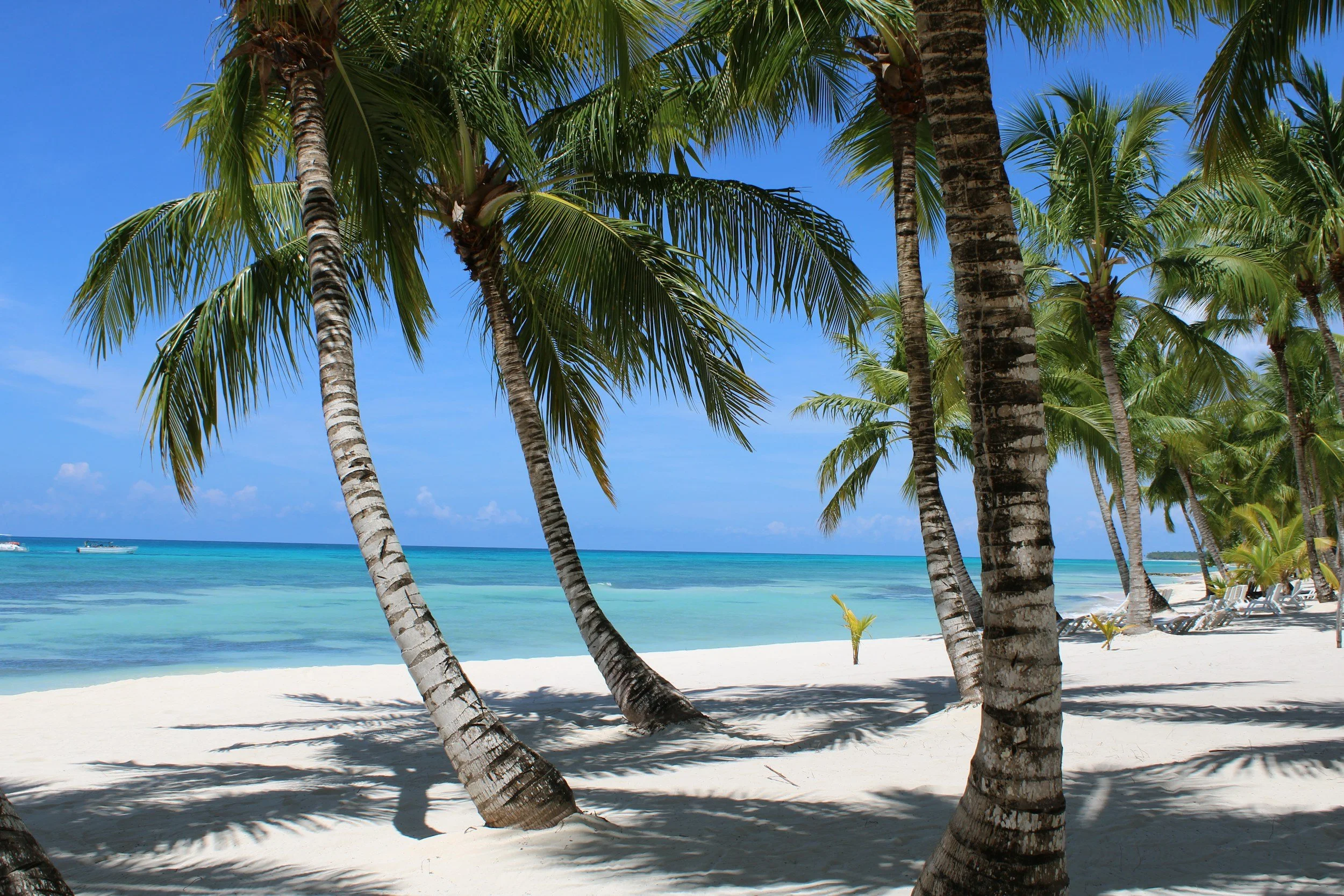 📍- PUNTA CANA, dominican republic 🇩🇴