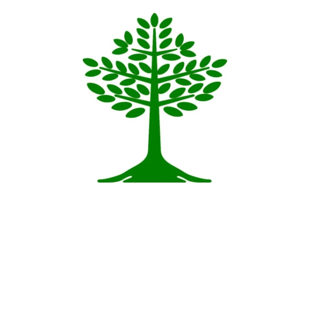 The Dream Works green tree logo on white background.