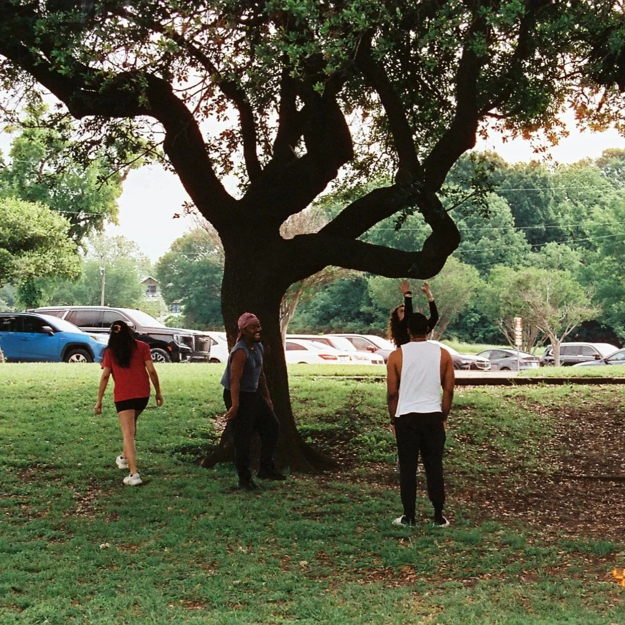 friends at a park