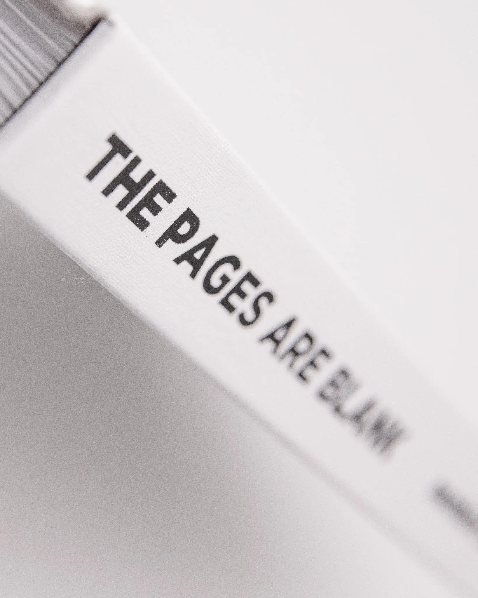 ThePagesAreBlank_4x5_16.jpg