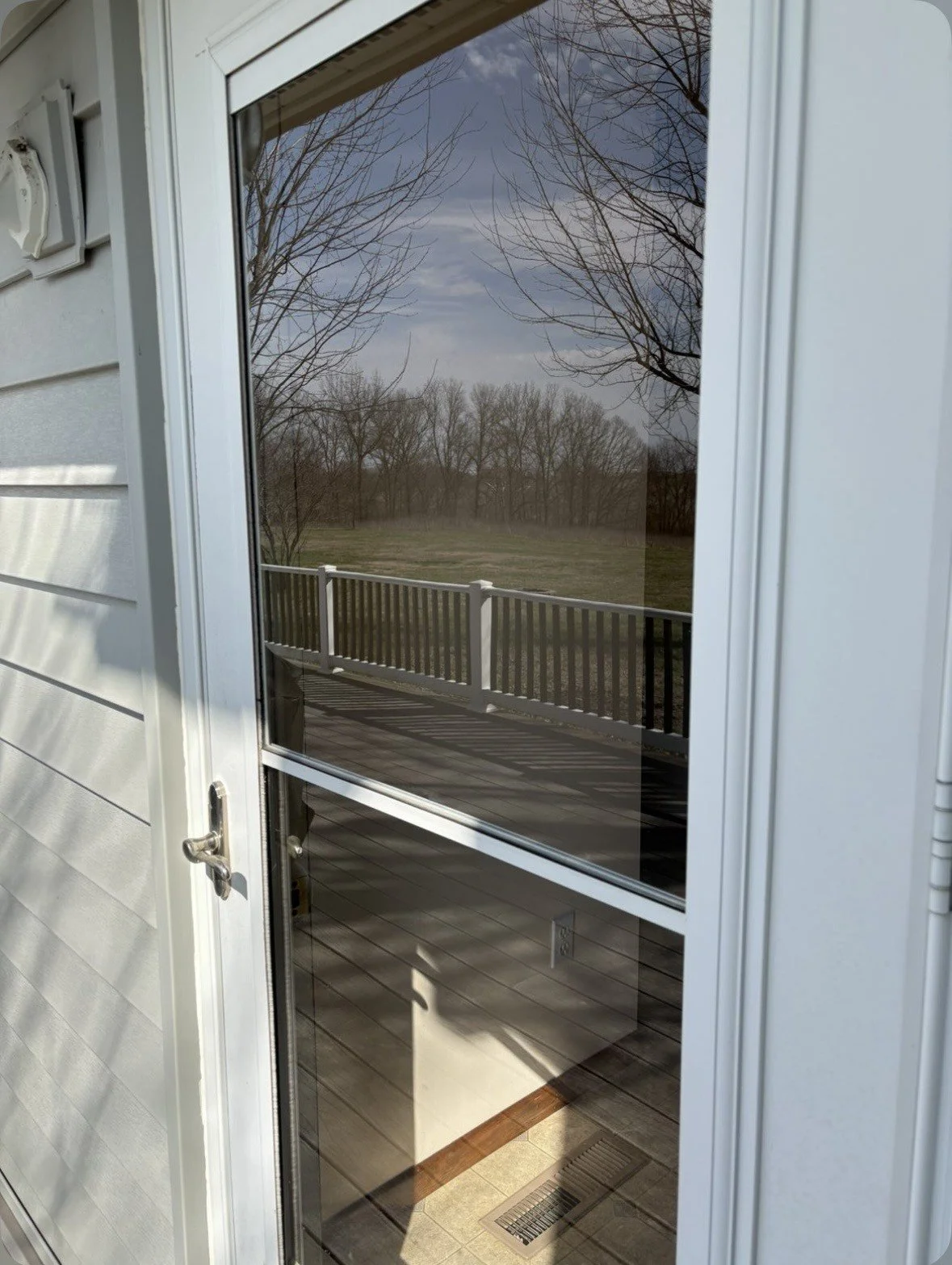A field of white daisies with yellow centers in warm sunlight.
