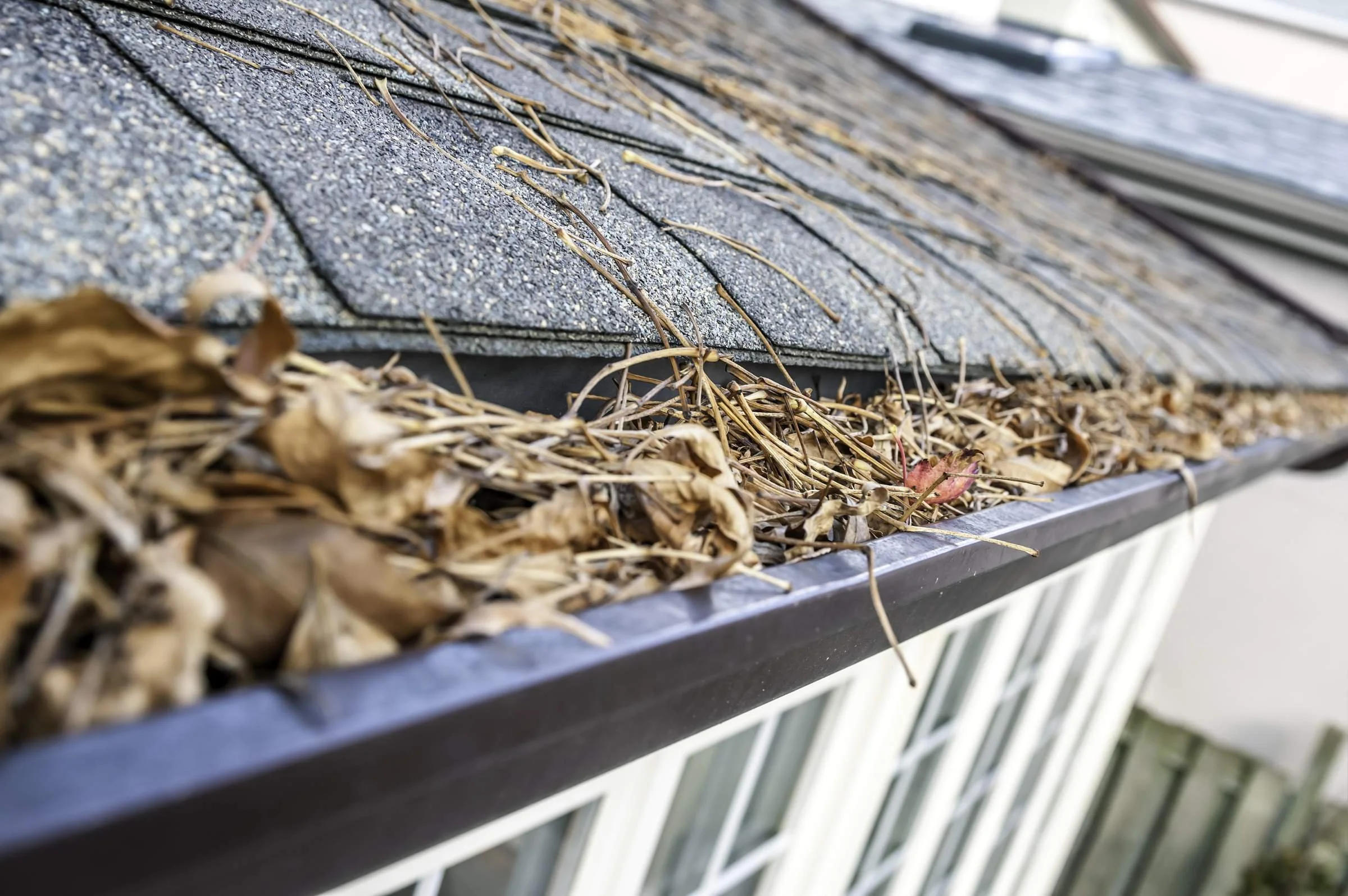 Close-up of a roof gutter filled with dried leaves, twigs, and debris.