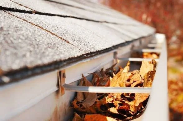 Close-up of a gutter filled with fallen autumn leaves beneath a roof with asphalt shingles.