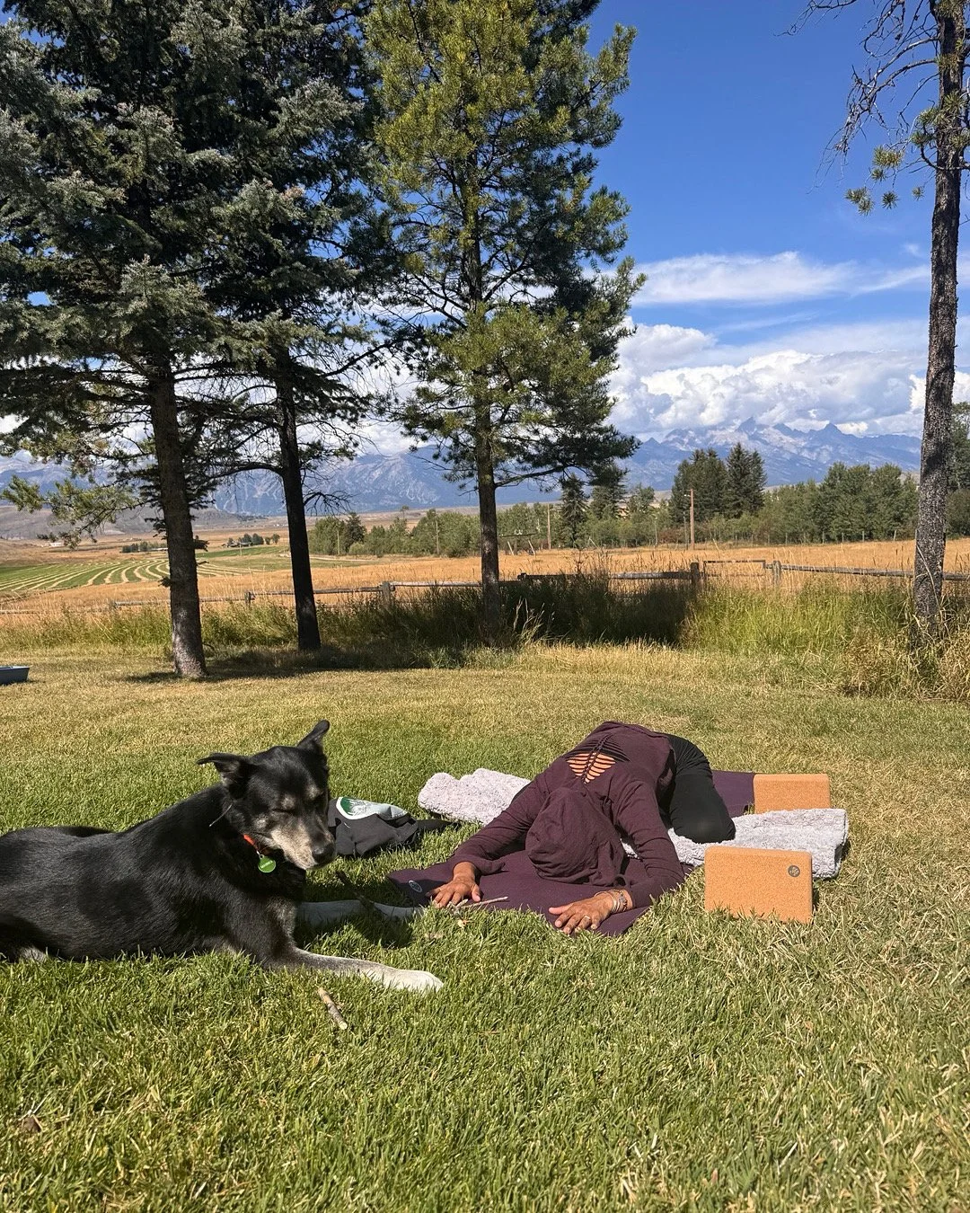 Private Yin Yoga
