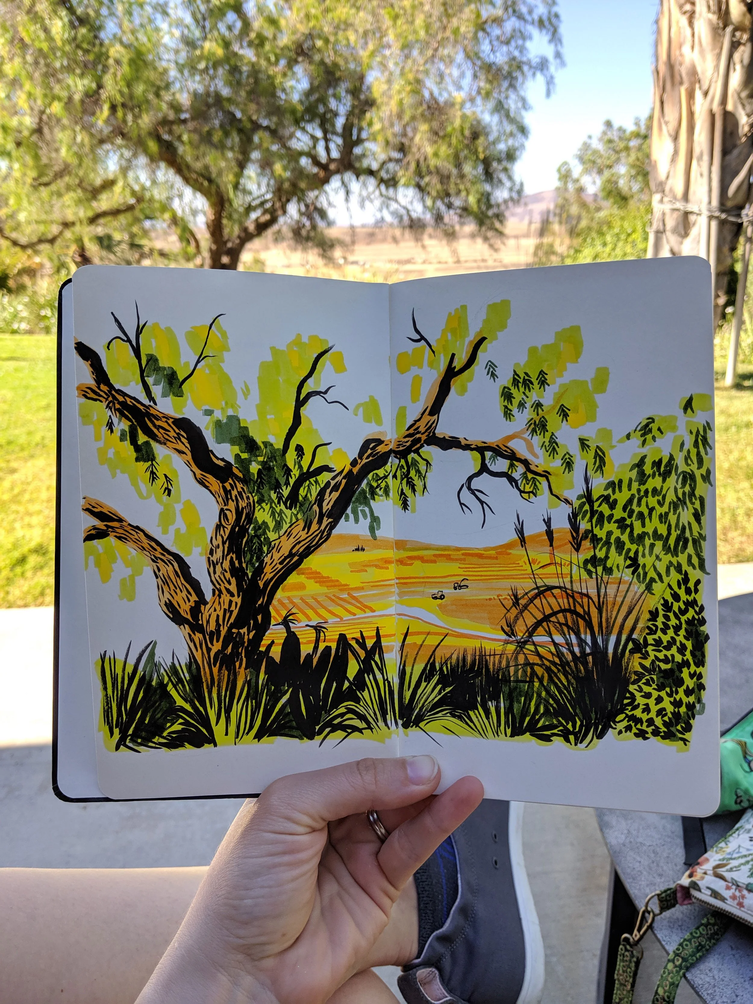 A colorful illustration of a landscape featuring a large tree with sprawling branches, tall grass, and rolling hills in the background.