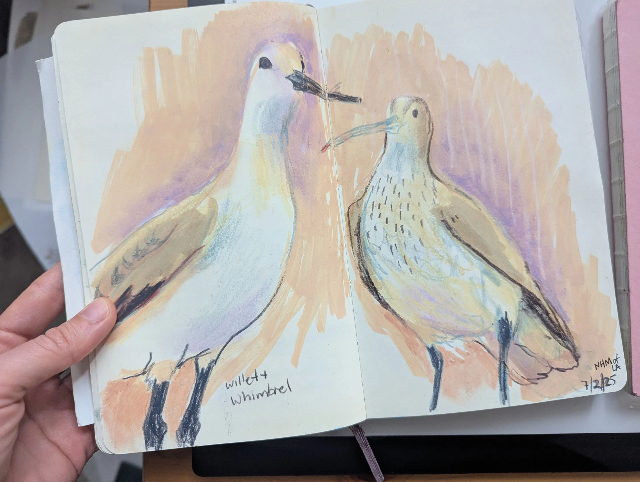 A watercolor painting of two birds, one with a long beak and the other with a shorter beak, facing each other. The branch has a background of soft colors. The painting is dated 7/2/15.