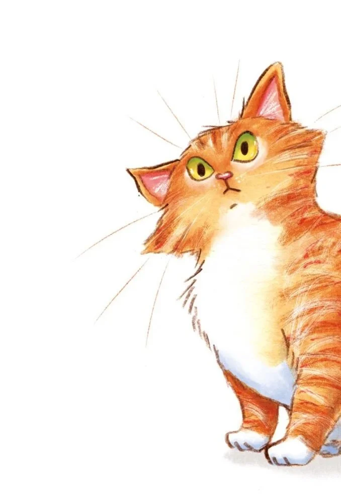 A mixed media illustration of an orange tabby cat with white chest and paws, looking up with yellow eyes.