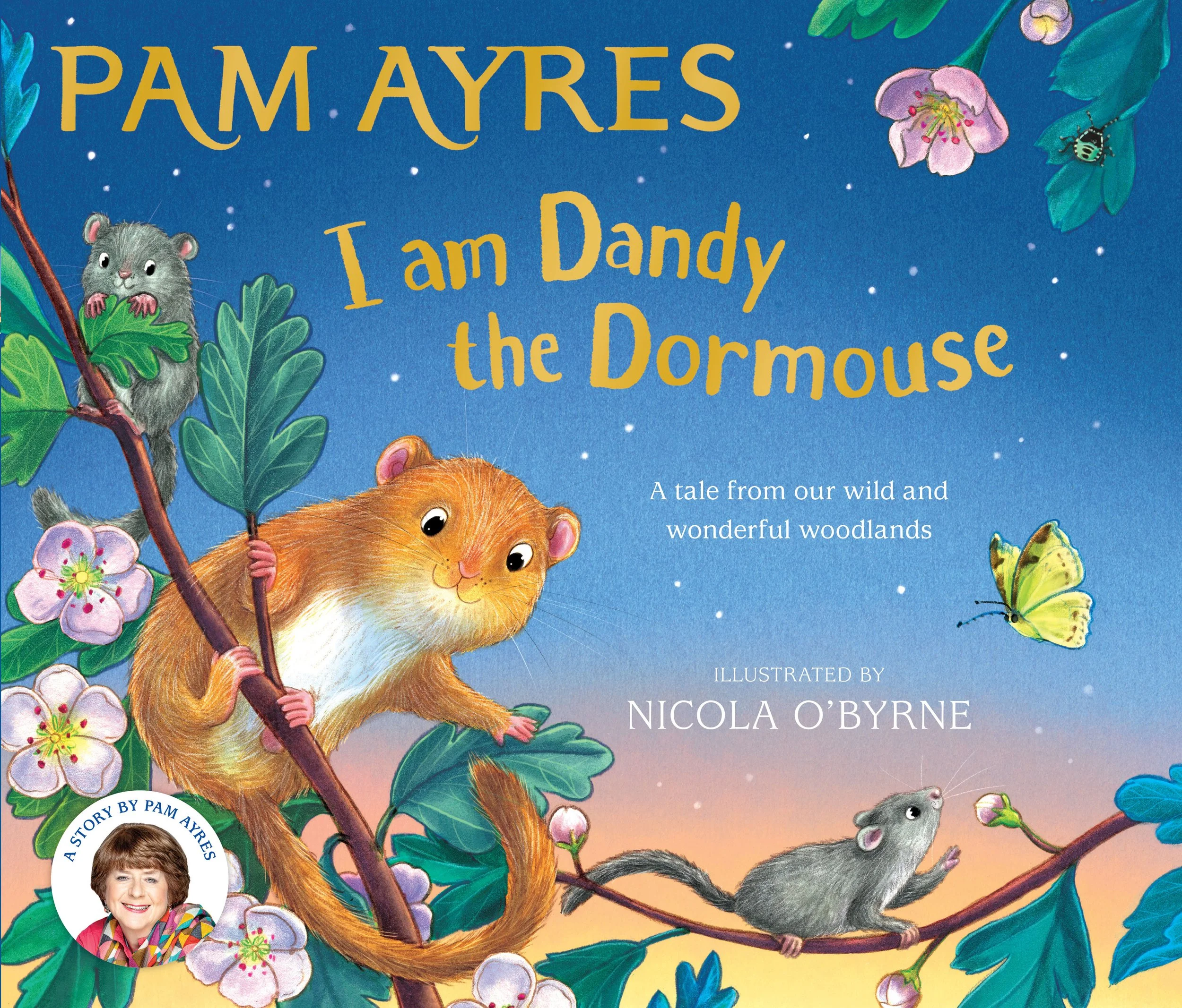 I am Dandy the Dormouse by Pam Ayres