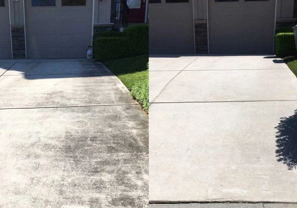 backyard.jpg