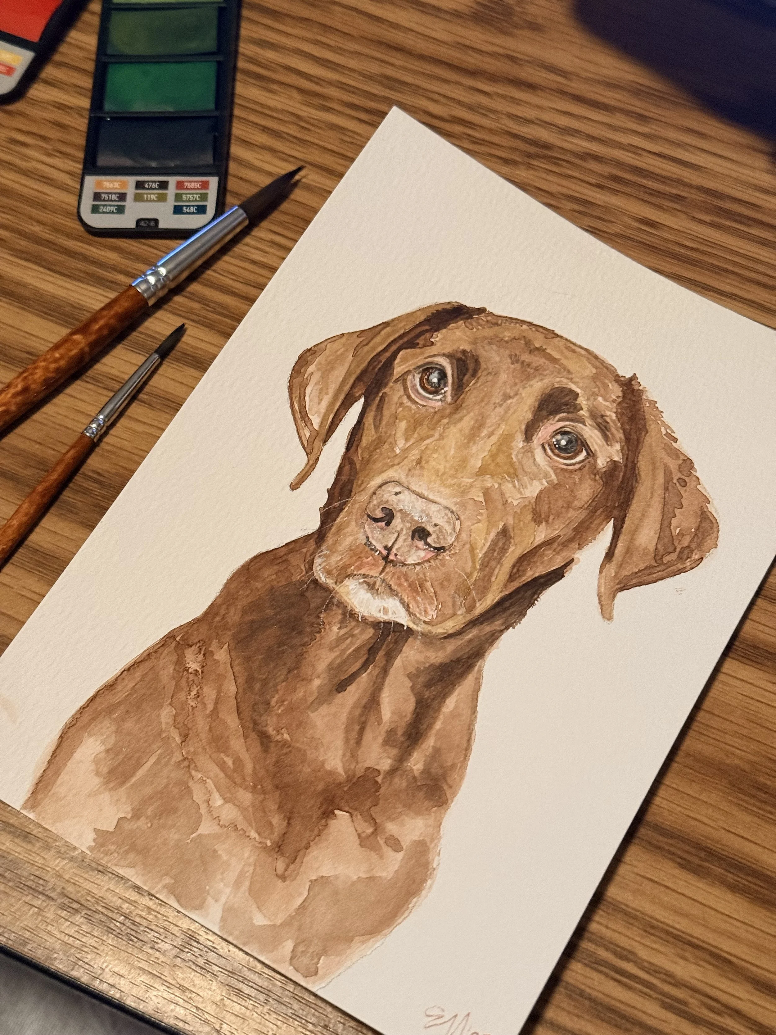 IMG_5621.jpeg