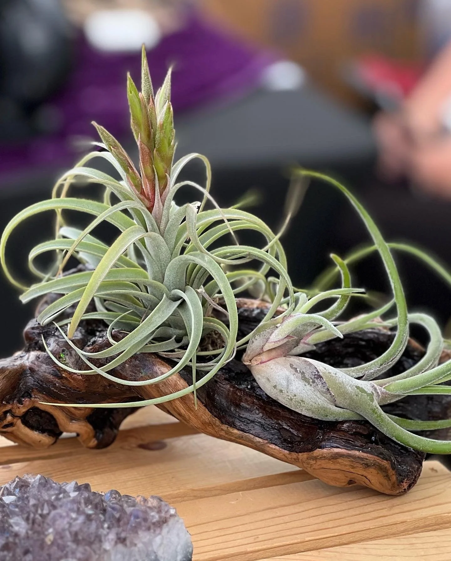 Craft Market - High Hill Ranch