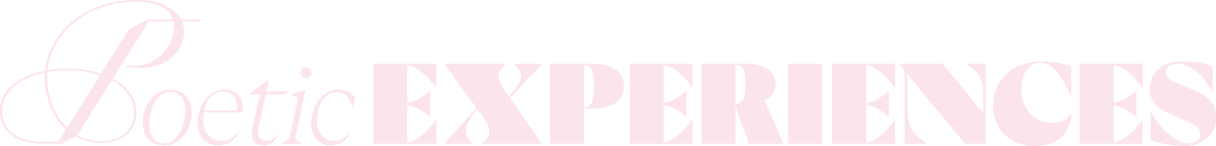 Logo with the words 'Poetic Experiences' in elegant pink and black font.