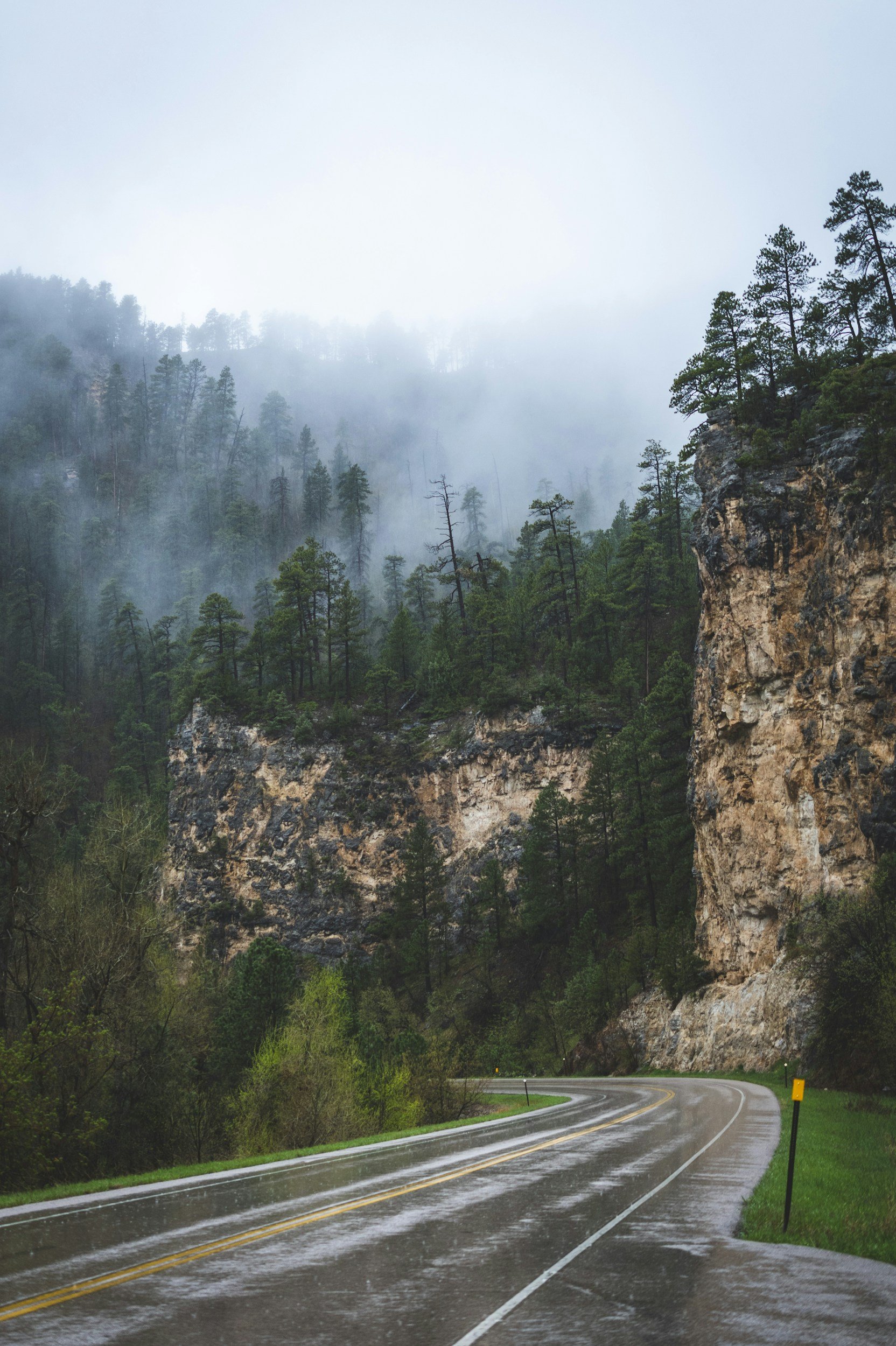 A wet winding road passing through a mountainous forest landscape with tall pine trees, rocky cliffs, low-hanging clouds, and misty weather.