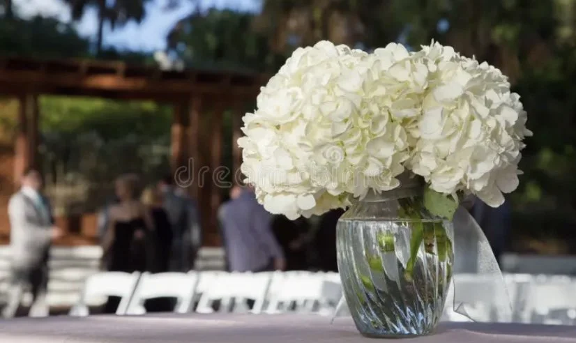 Image 3-30-26 at 4.59 PM.jpeg