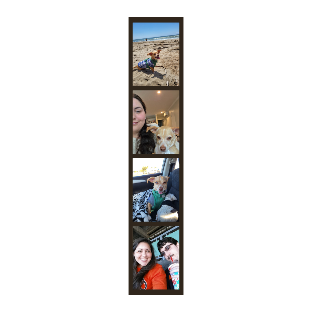 A photo strip featuring a dog on the beach, a woman and her dog, a dog in a car, and a woman and a man.