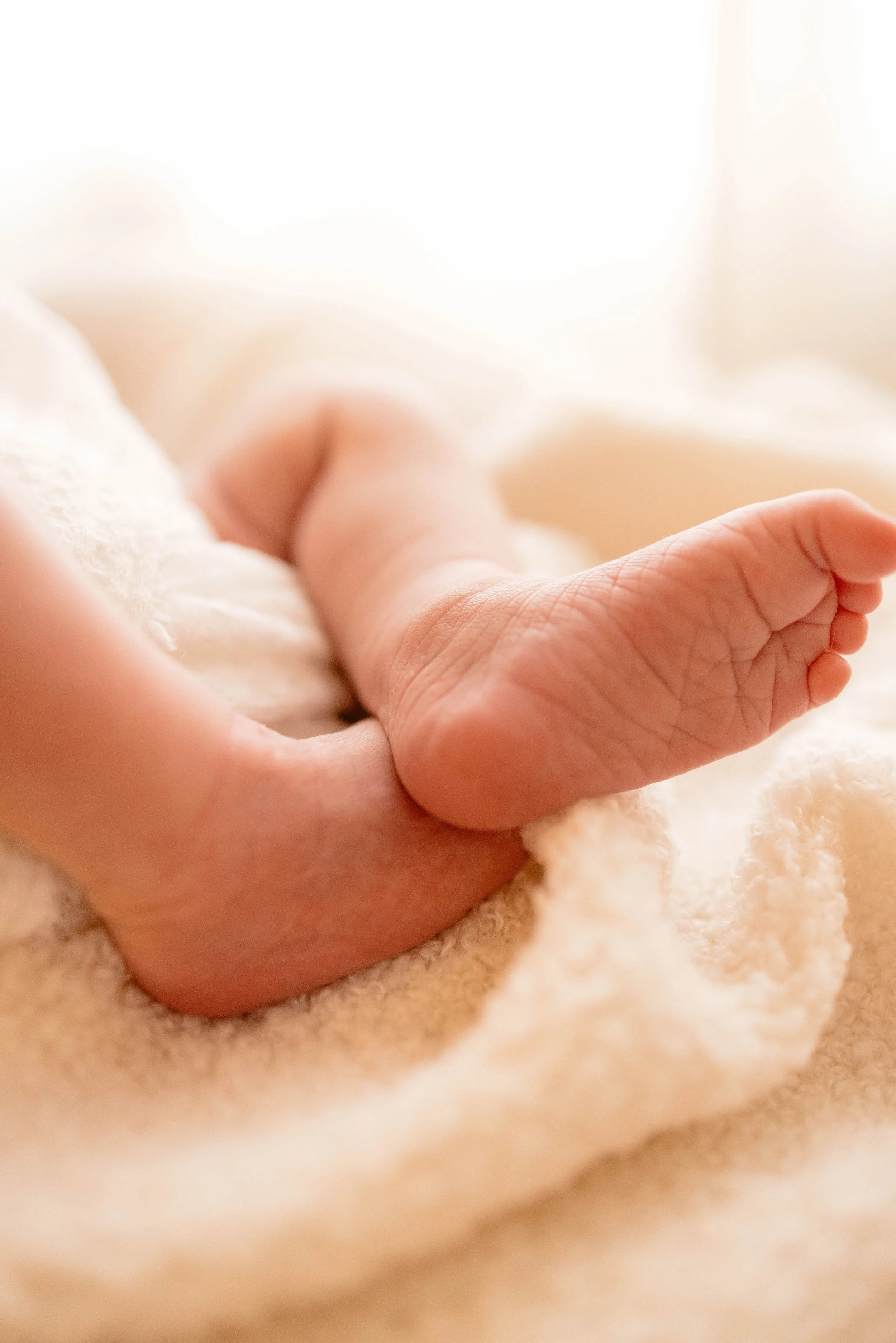 Newborn Sessions