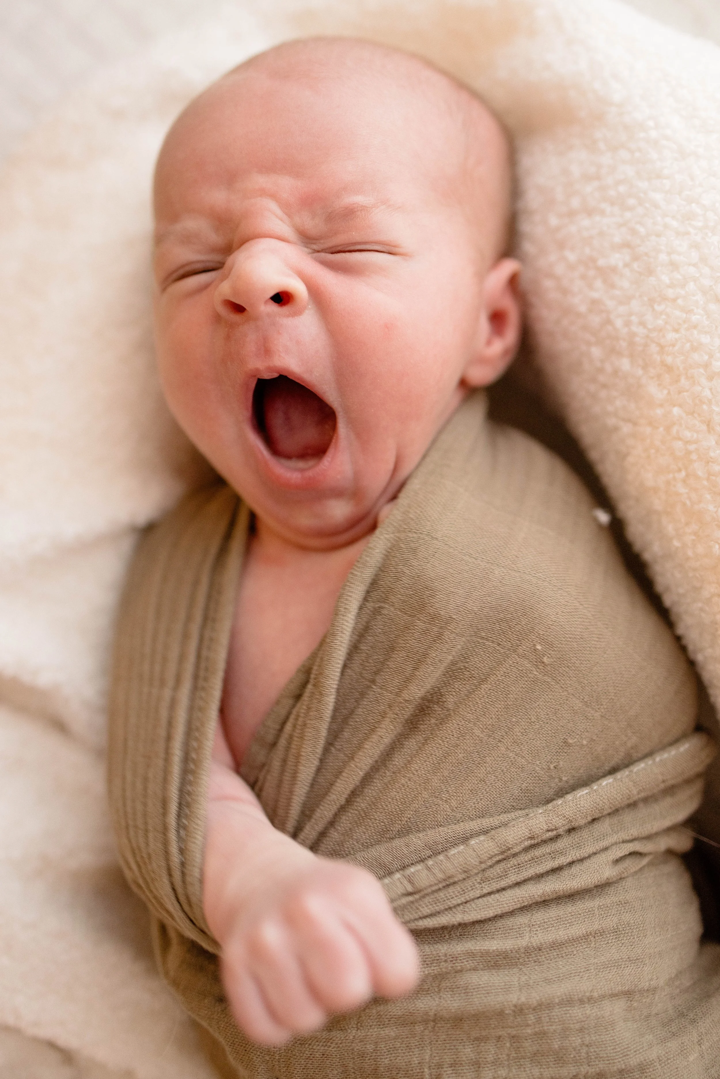 Newborn photographer Kingston Ontario