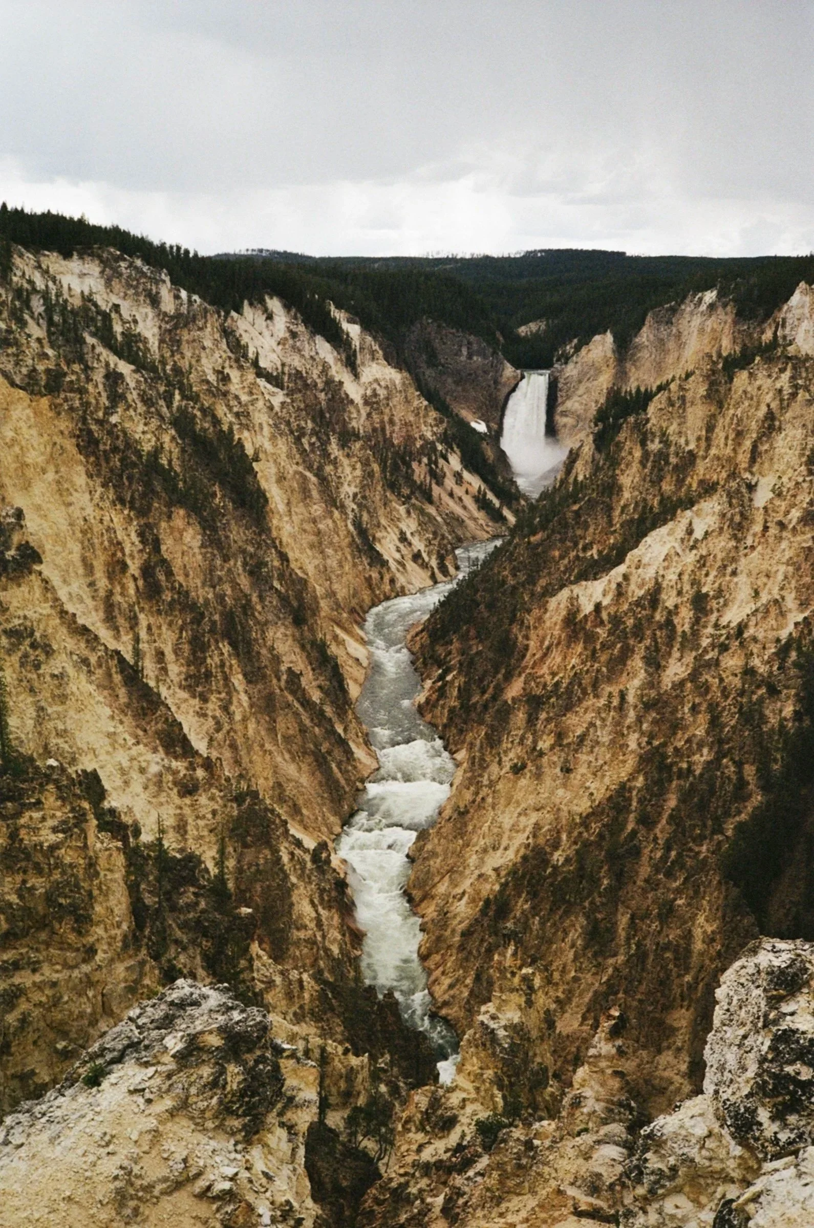 the-grand-canyon-of-yellowstone.jpg