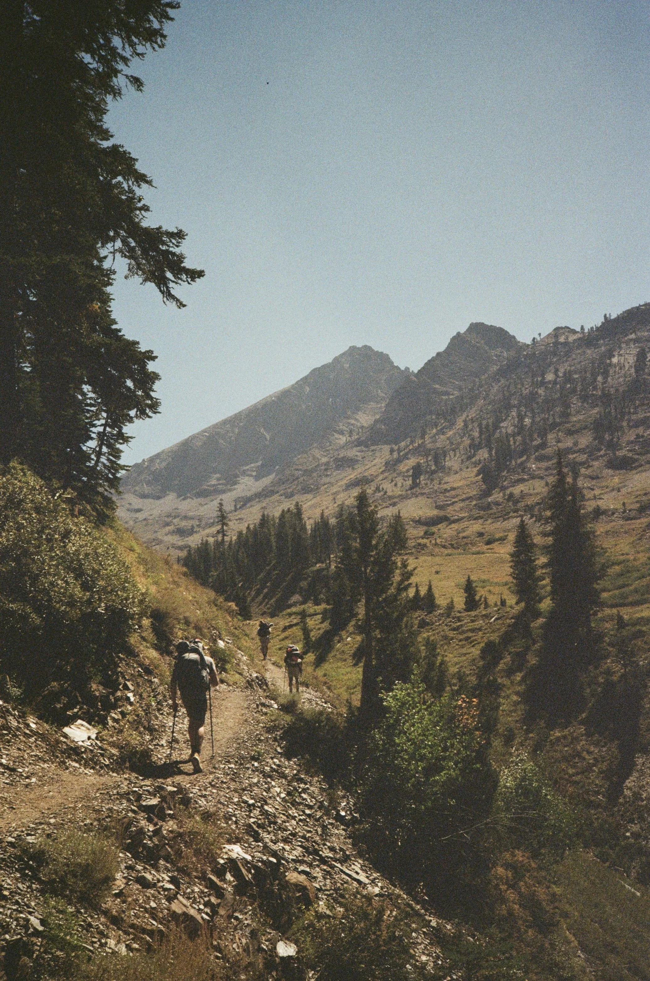A group of hikers trekking along a rocky trail through a mountainous landscape with trees and distant peaks under a clear sky.