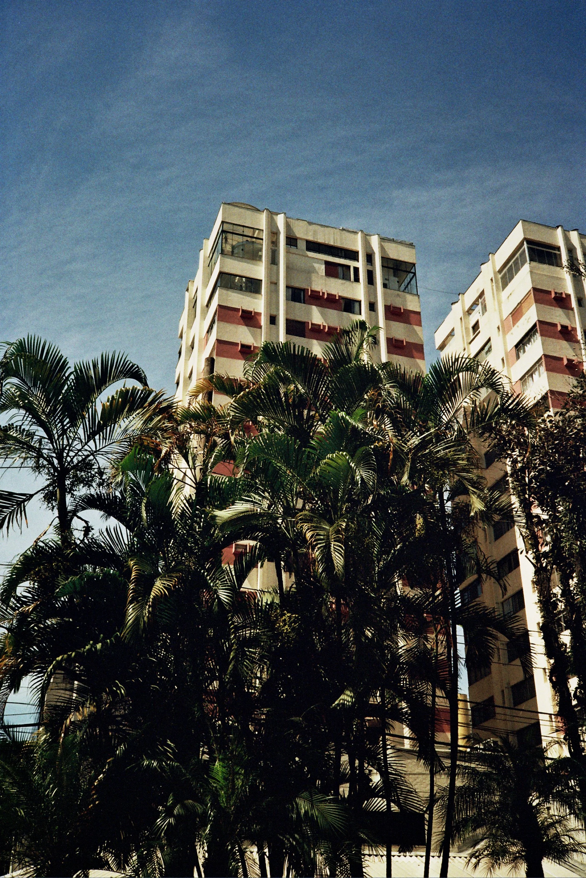 High-rise apartment buildings behind palm trees under a clear blue sky.