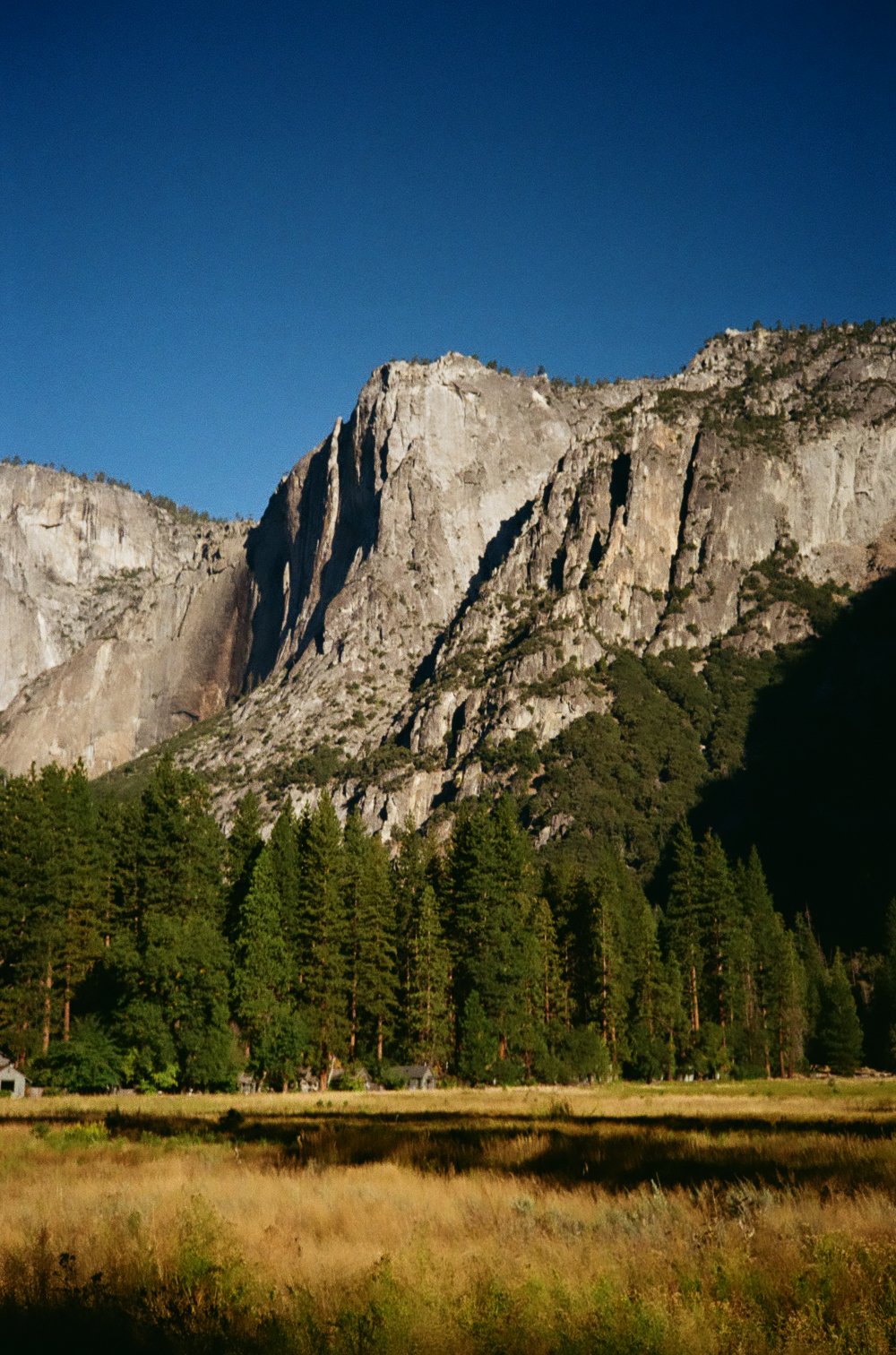 A mountain landscape with a rocky cliff face, dense forest of pine trees at the base, and a grassy field in the foreground under a clear blue sky.