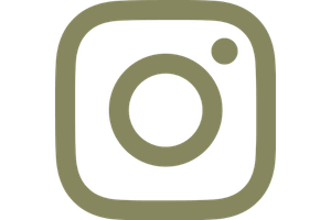 Instagram logo in a khaki color