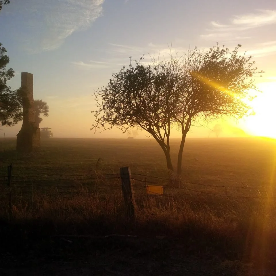 Celeste Brittain - Sunrise over Country Town.jpg