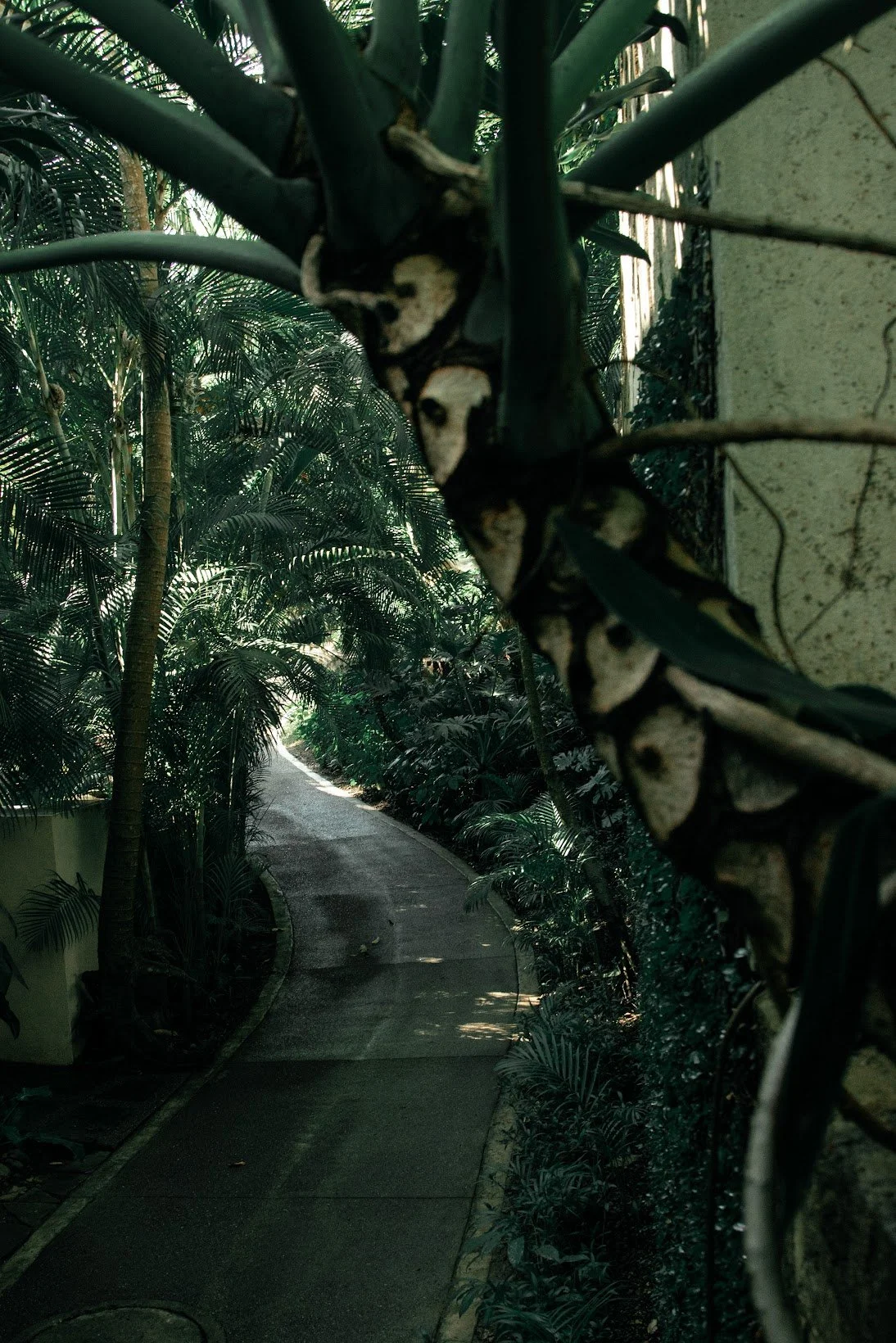 BEYOND SEMANA 14 al 21 enero 2023-137.jpeg