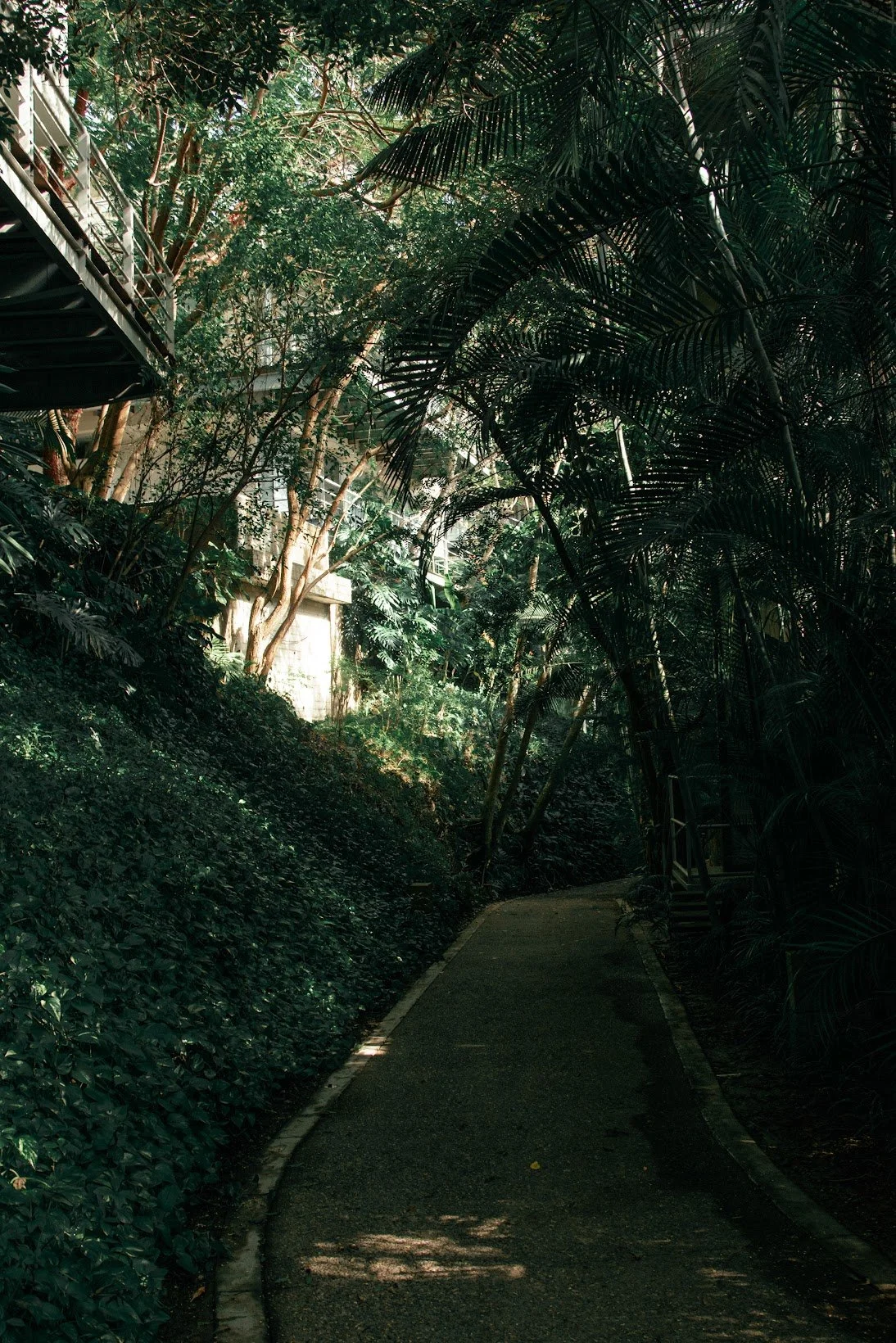 BEYOND SEMANA 14 al 21 enero 2023-145.jpeg