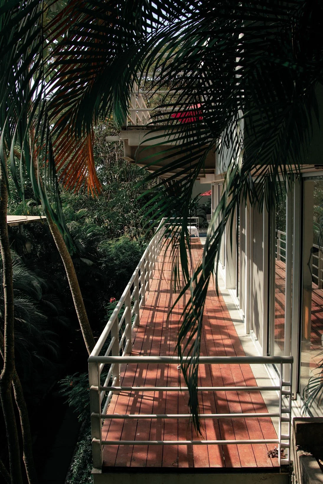 BEYOND SEMANA 14 al 21 enero 2023-136.jpeg