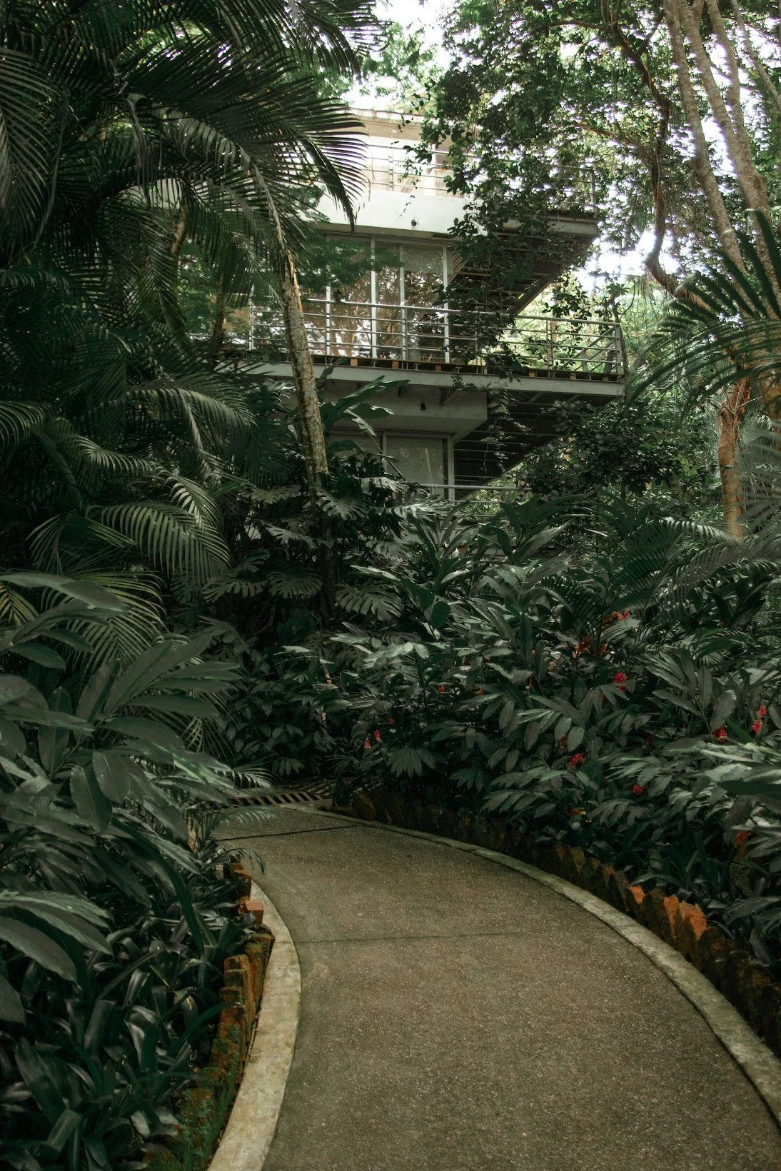 Puerto Vallarta Yoga Retreat.jpeg