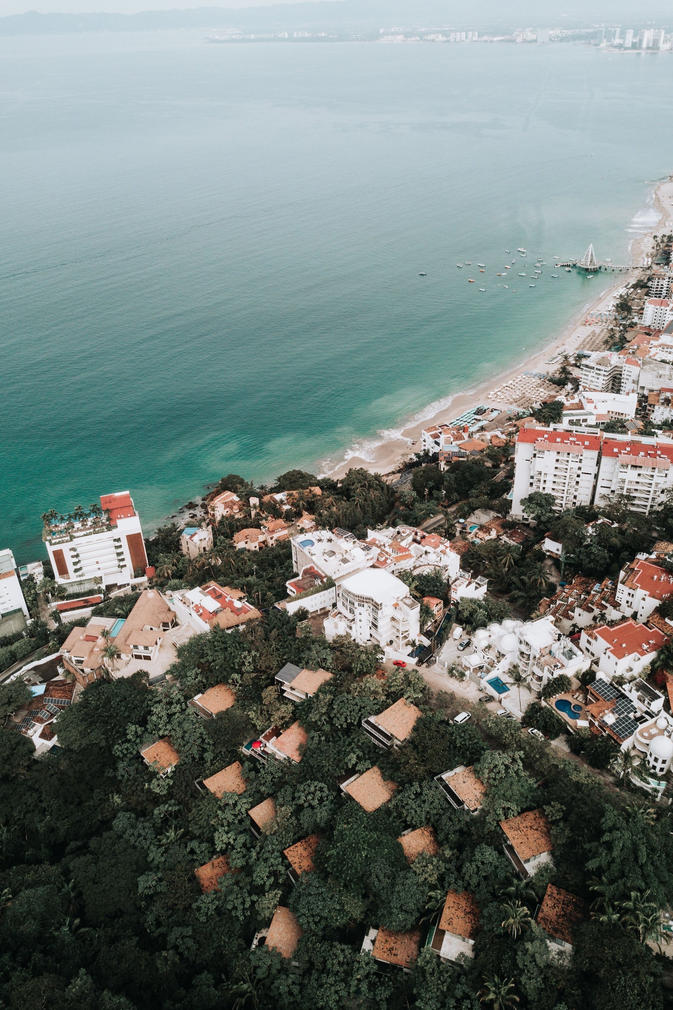 Lisa's link - September 21st 2025