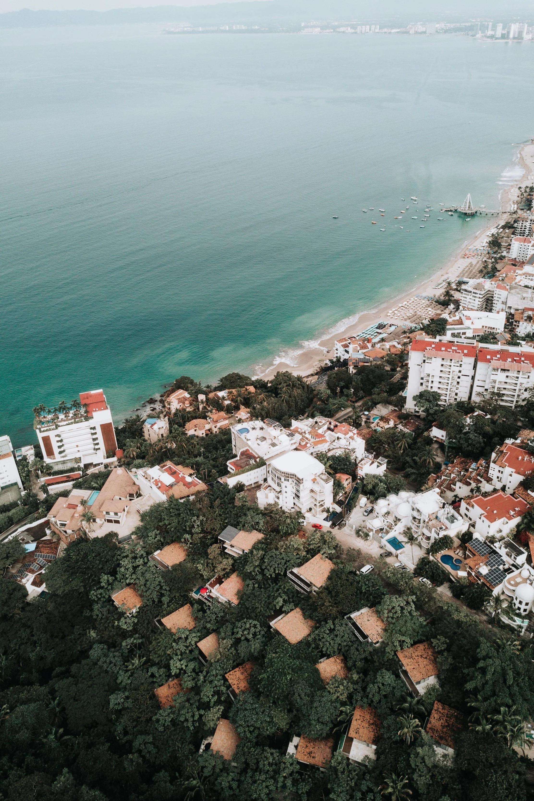 Daniela Link: Single Occupancy, Standard Room - Mar 8  - Apr 5 2026