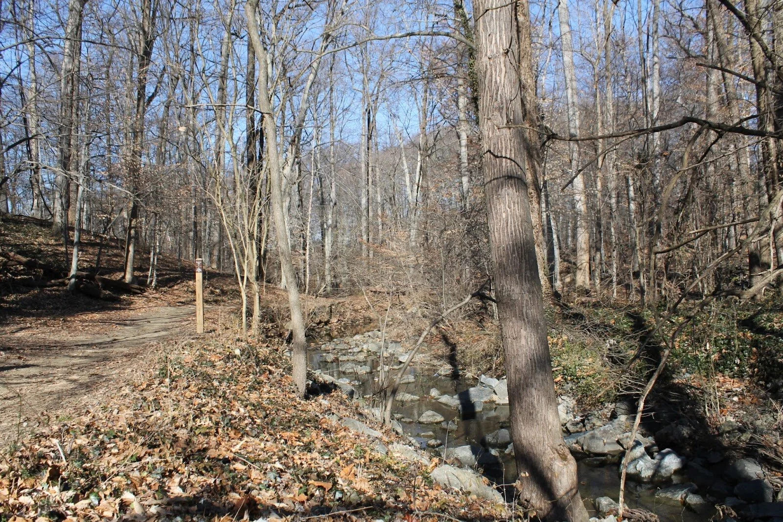Joseph’s Branch is a tributary of Rock Creek.
