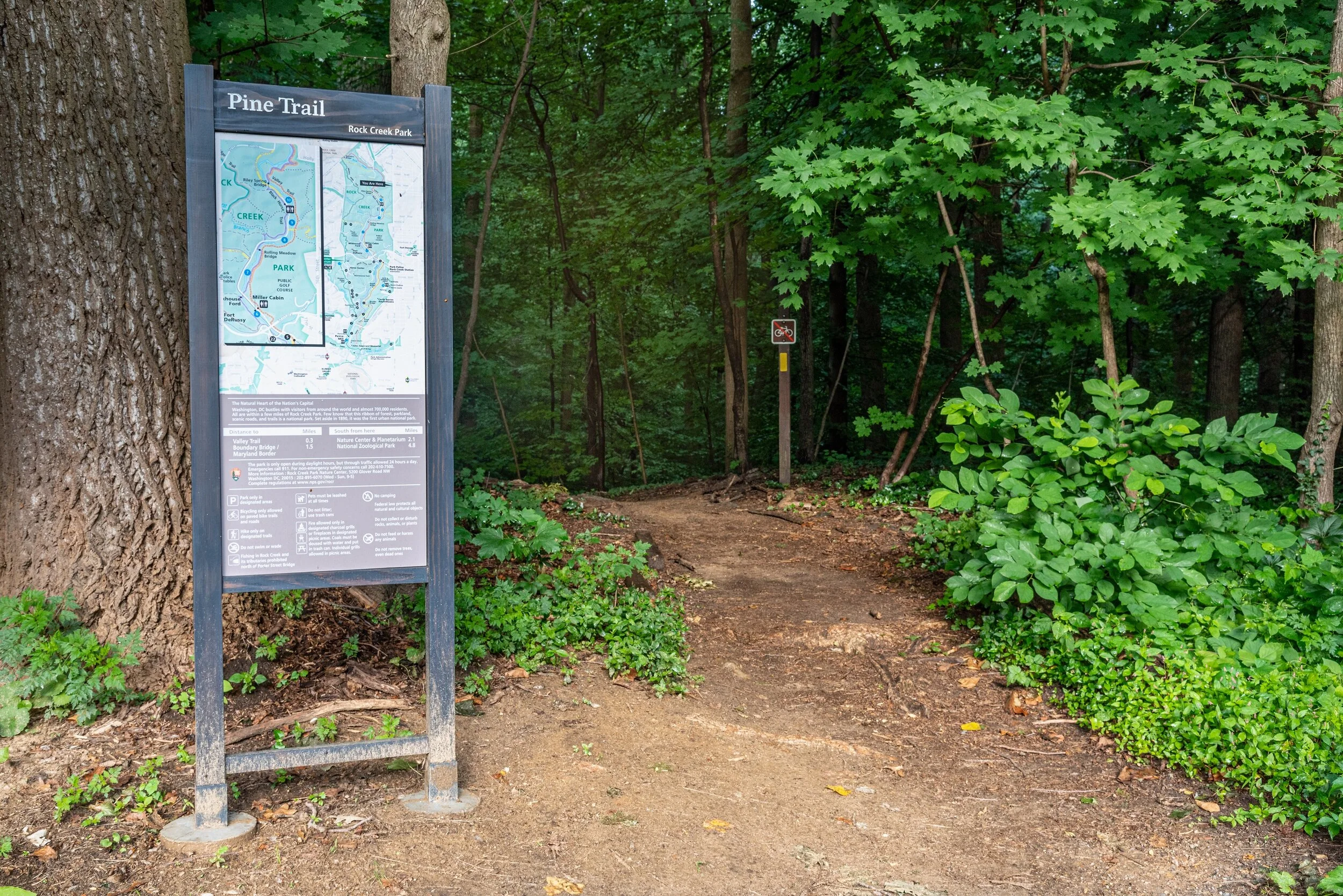 A pilot trailhead sign was installed at the top of the Pine Trail in April 2021.