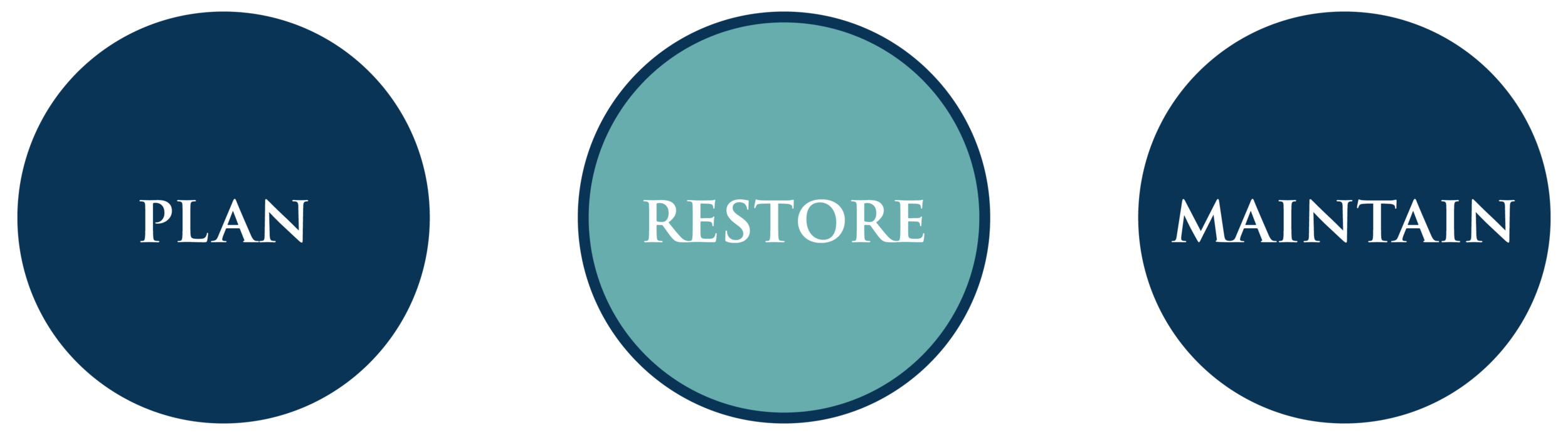 Website Assets 1.11.png