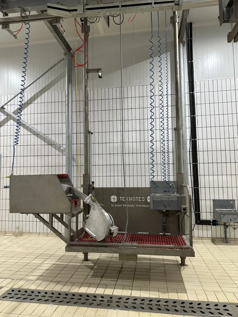 Pneumatic Butcher Elevating Platform for Carcass Processing - Teknotes Group