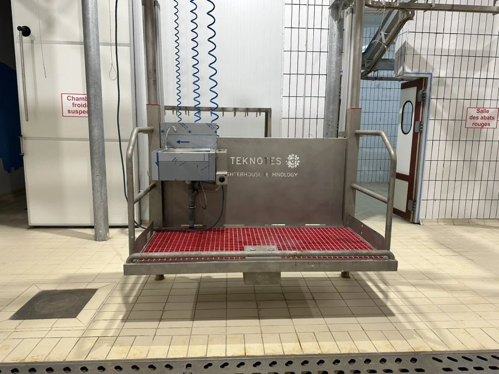 Industrial Carcass Splitting and Skinning Working Platform - Teknotes Group