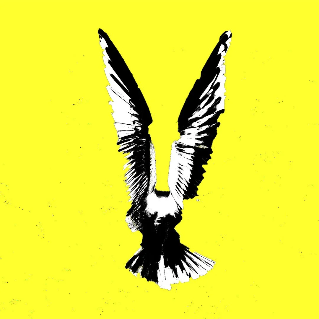 Social Media Post Filler.jpg