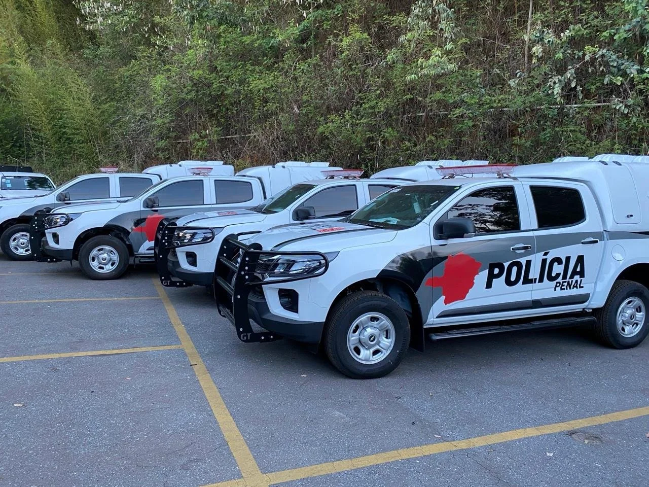 Plotagem/Envelopamento de Frotas