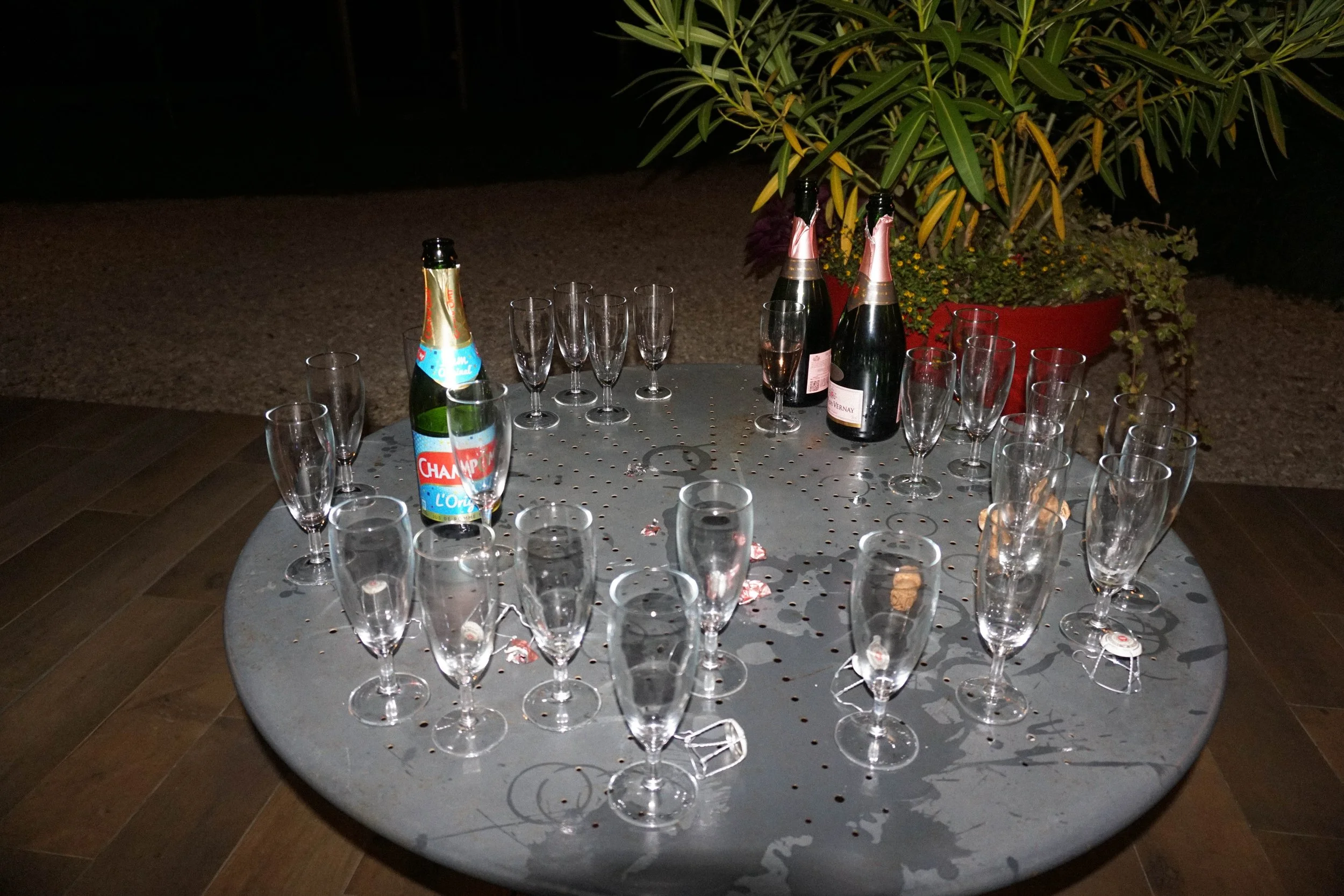 DSC00505.jpg