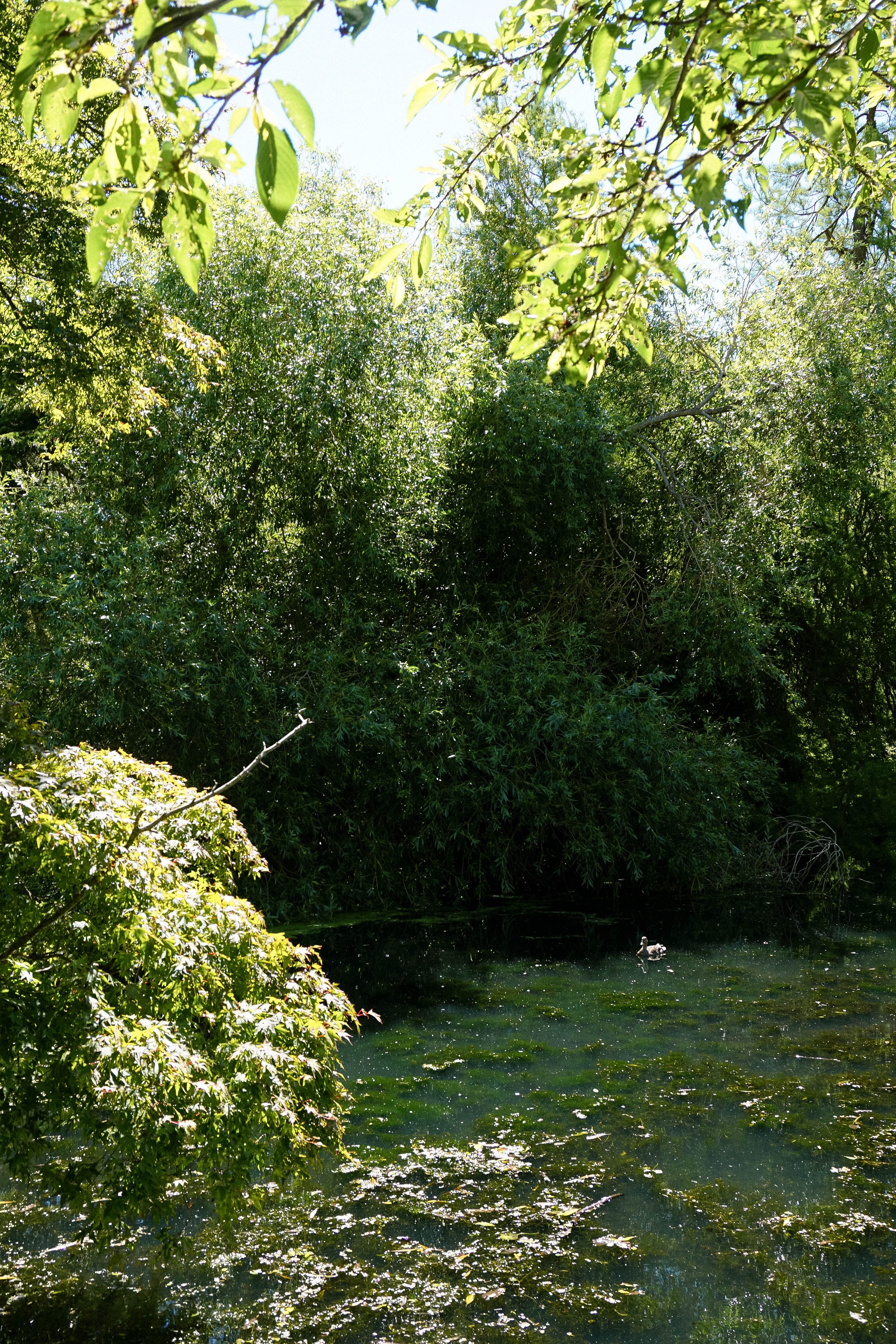 DSC05679.jpg