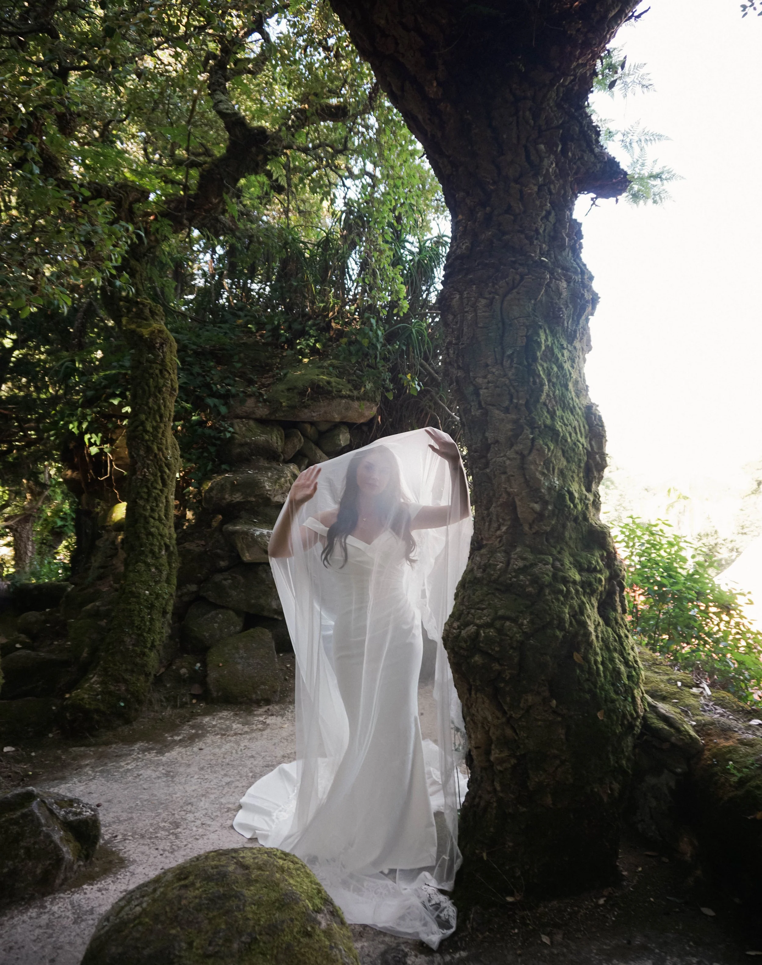 DSC07128-Edit.jpg