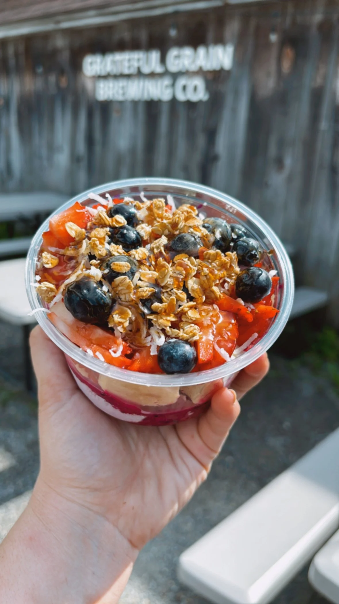A hand holding a clear plastic cup filled with yogurt, topped with blueberries, strawberries, granola, and shredded coconut, outdoors with a wooden fence and sign that reads 'Glistful Grain Brewing Co.' in the background.