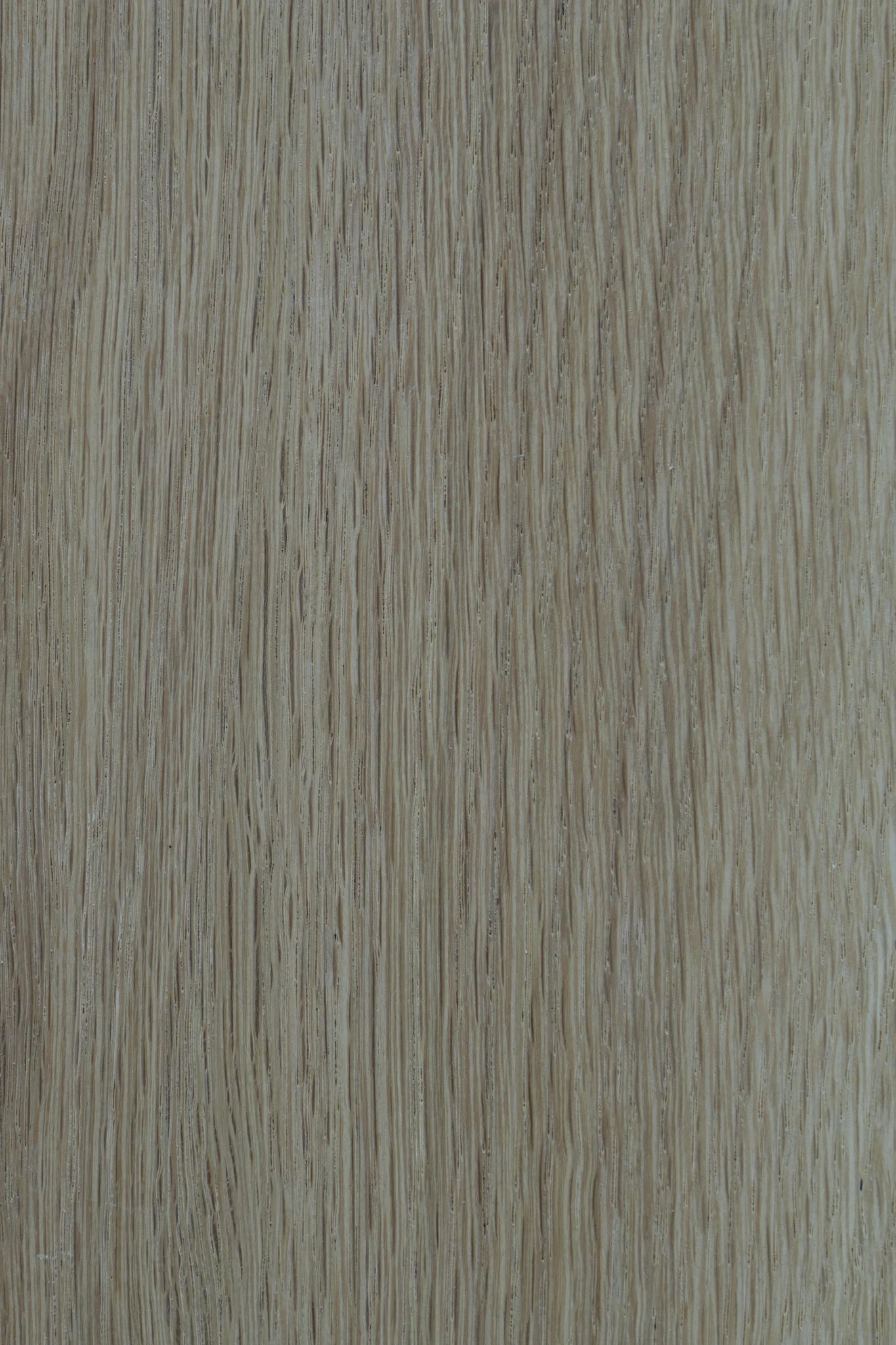 Classic Oak