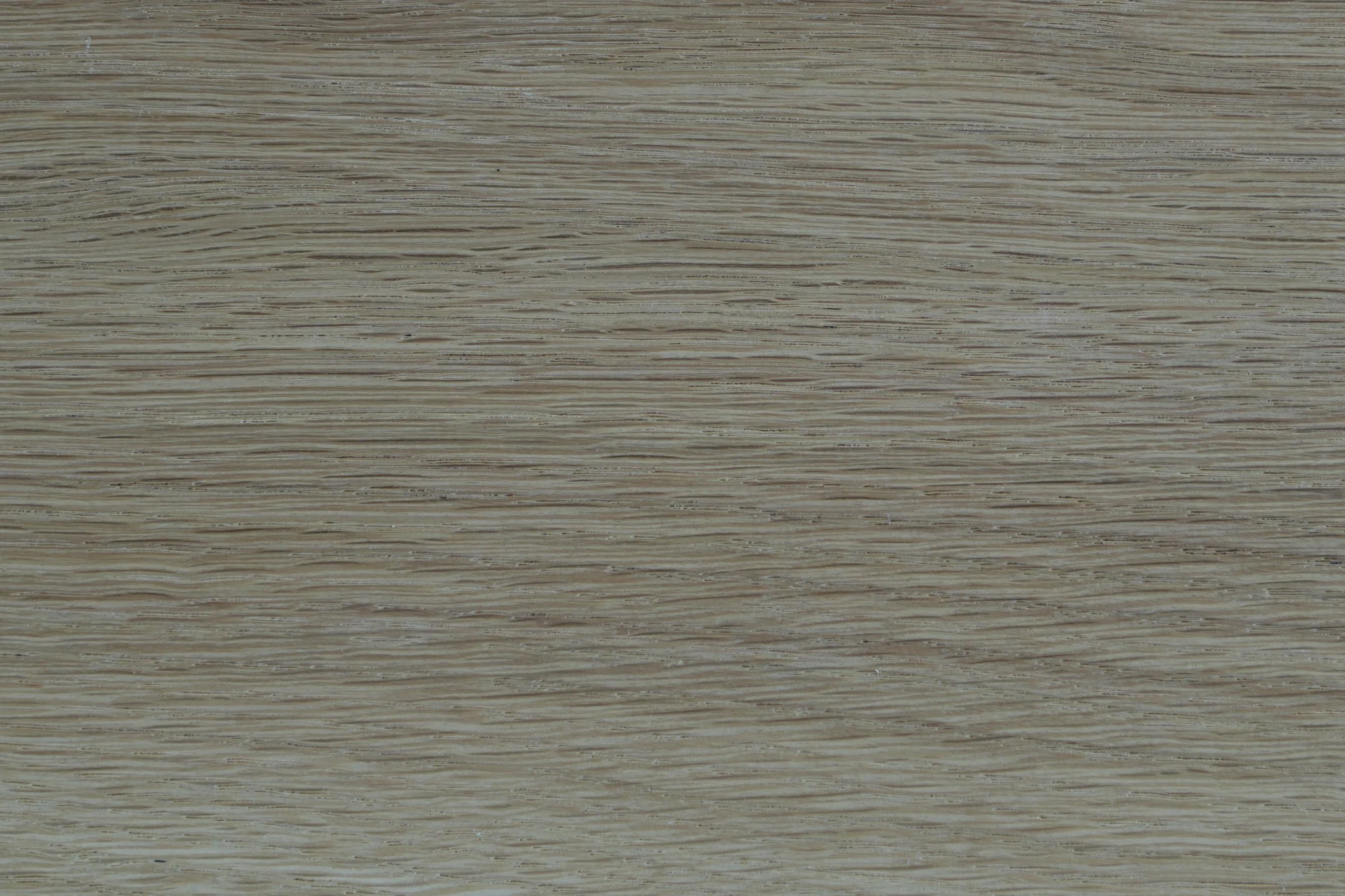 Classic White Oak