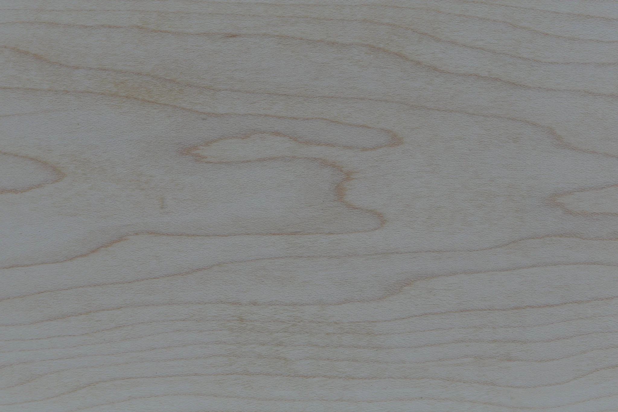 White Maple