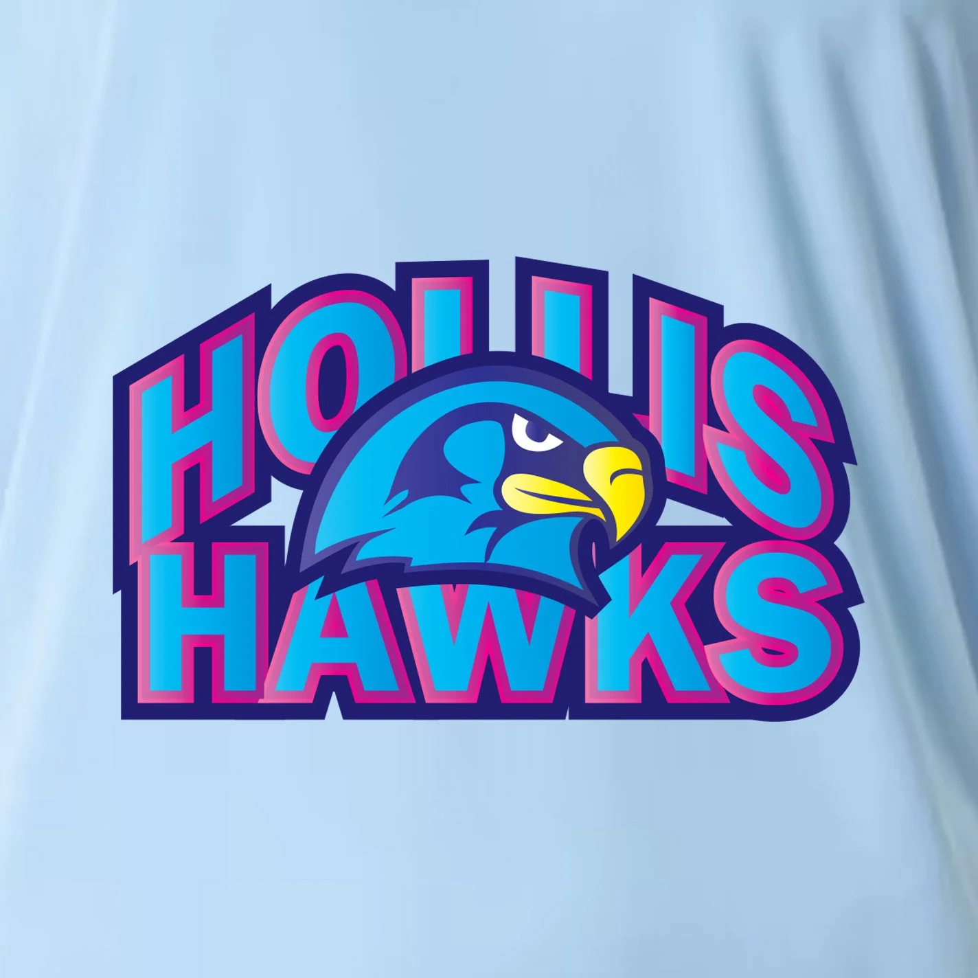 Hollis logo blue and pink