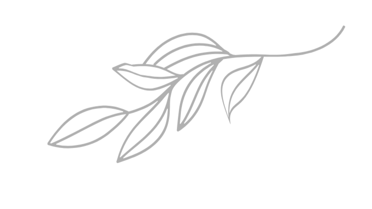 Botanical leaf branch drawing symbolizing growth, renewal, and somatic nervous system regulation