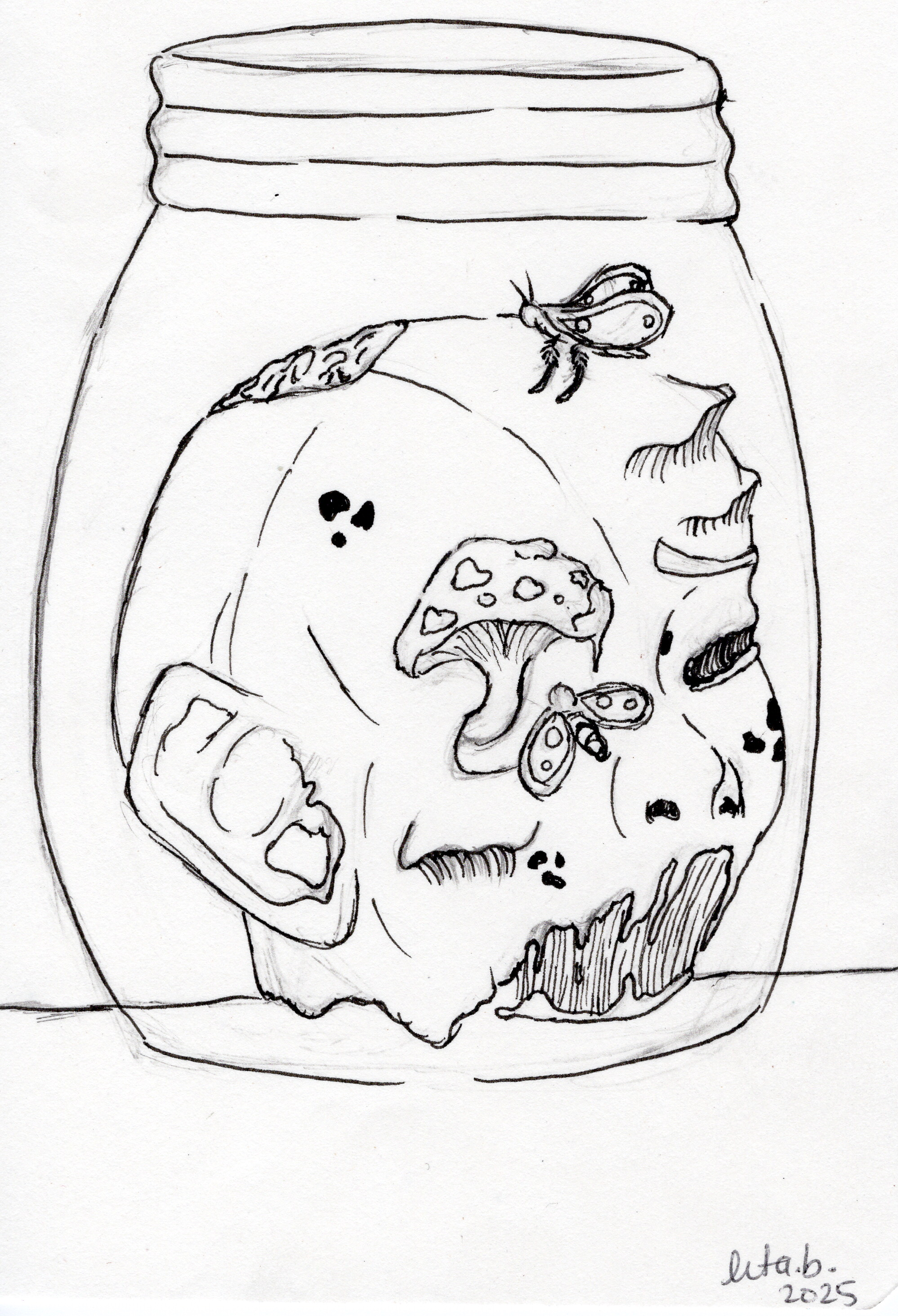 img20250411_10325291.png